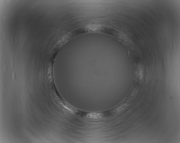 X0000056360526200508291347