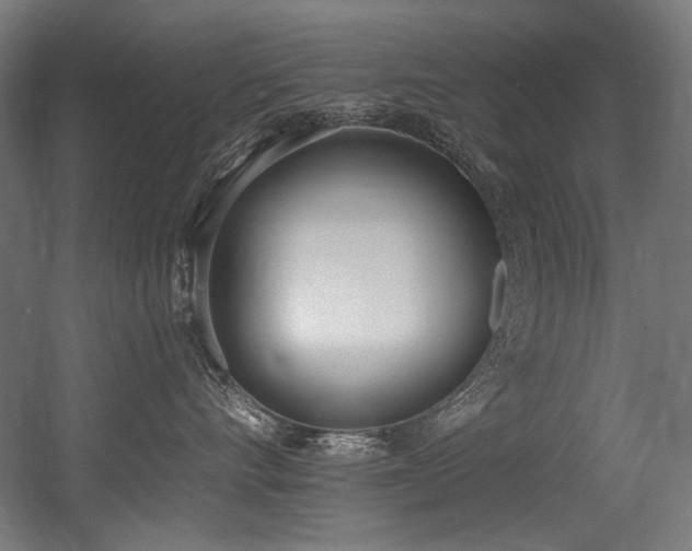 X0000056360528200508291347