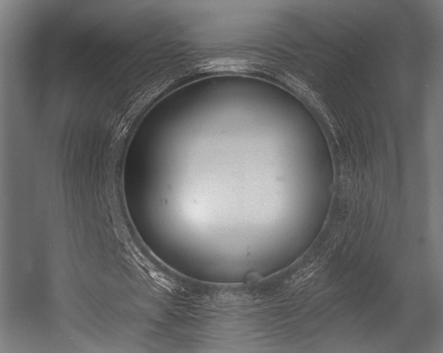 X0000056360529200508291347