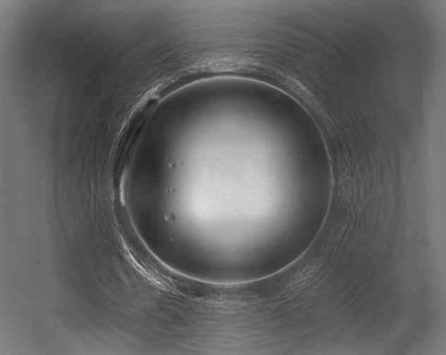 X0000056360530200508291347