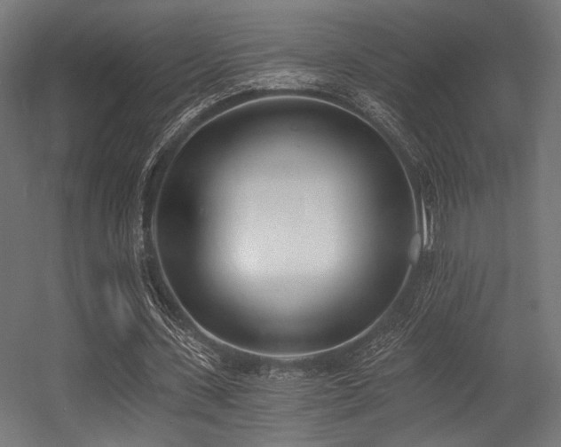 X0000056360531200508291347