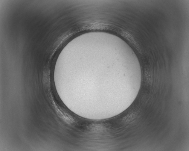 X0000056360534200508291347