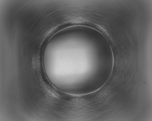 X0000056360535200508291347