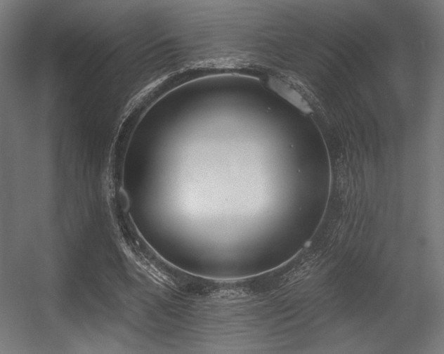 X0000056360536200508291347