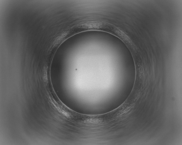 X0000056360537200508291347