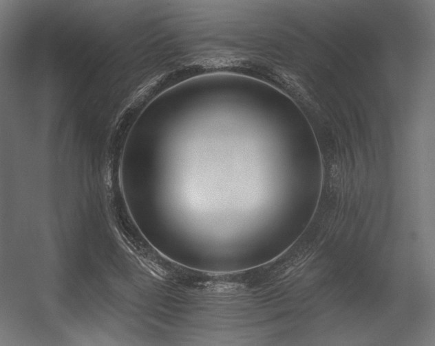 X0000056360539200508291347