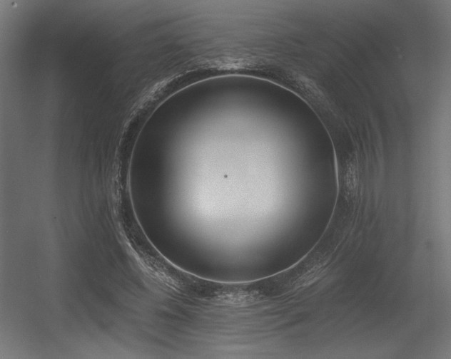 X0000056360540200508291347