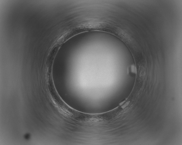 X0000056360542200508291347