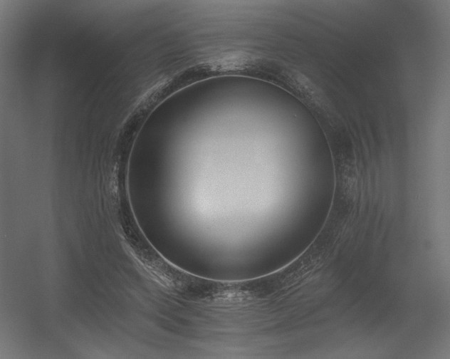 X0000056360543200508291347