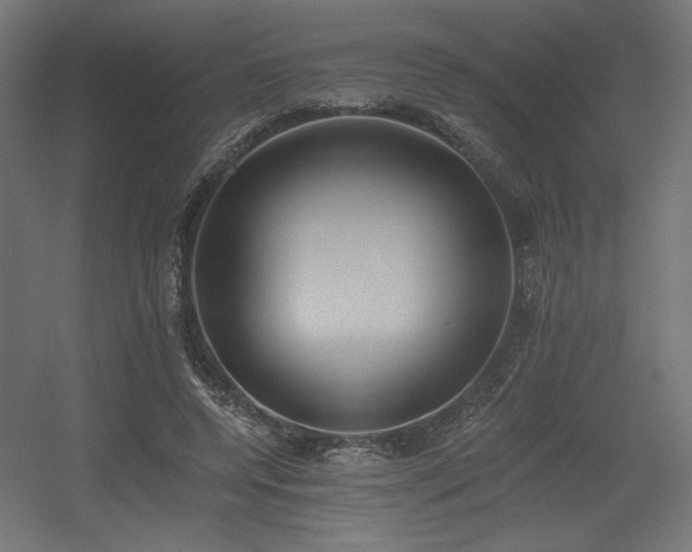 X0000056360544200508291347