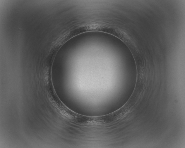 X0000056360545200508291347