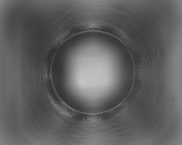 X0000056360546200508291347