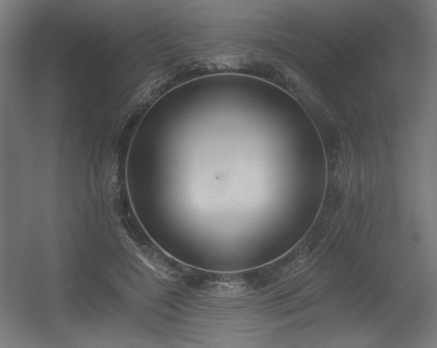 X0000056360548200508291347