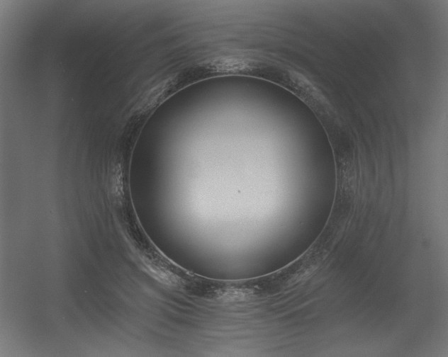 X0000056360549200508291347