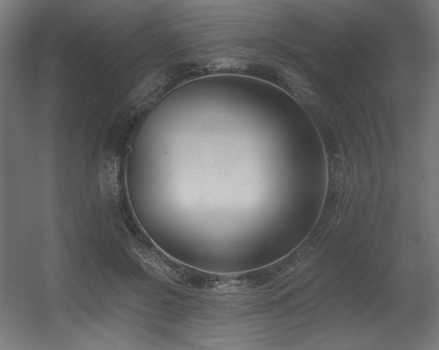 X0000056360550200508291347