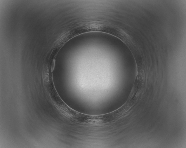 X0000056360552200508291347