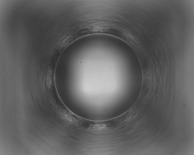 X0000056360554200508291347