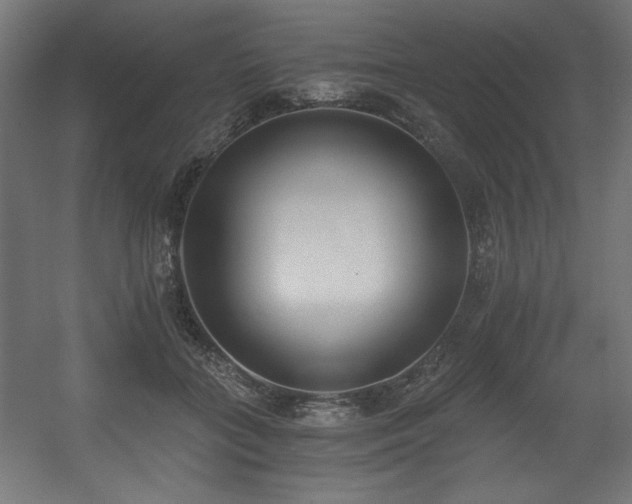 X0000056360555200508291347