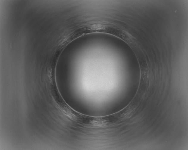 X0000056360556200508291347