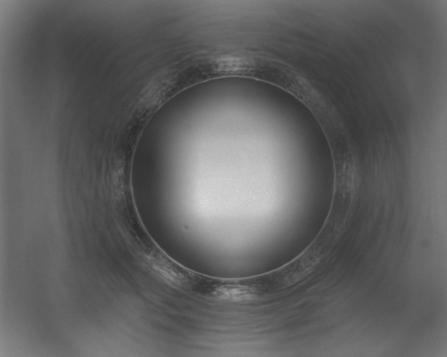 X0000056360557200508291347