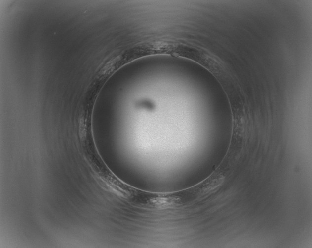 X0000056360558200508291347