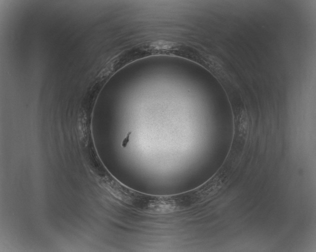 X0000056360559200508291347