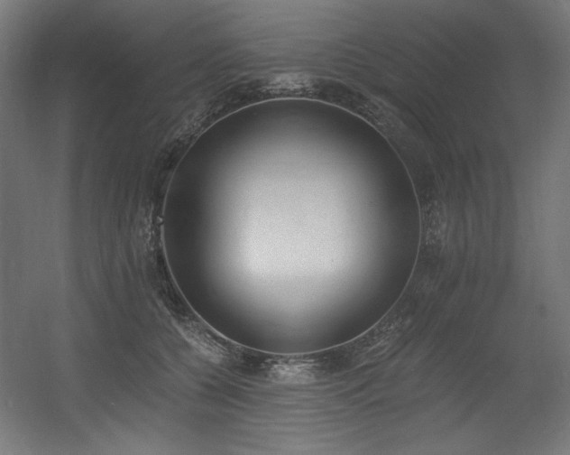 X0000056360560200508291347