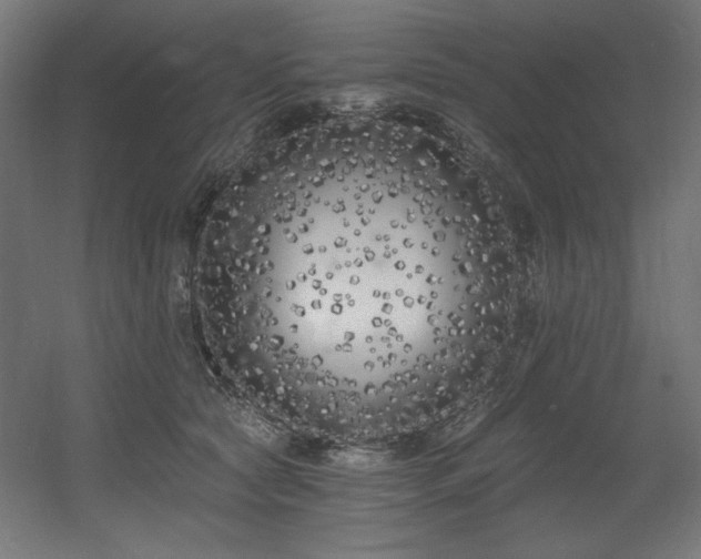 X0000056360561200508291347