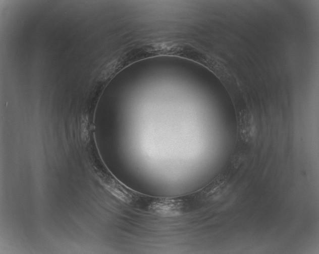 X0000056360563200508291347