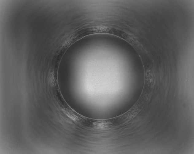 X0000056360564200508291347