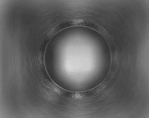 X0000056360565200508291347