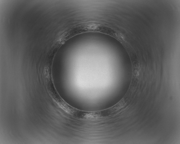 X0000056360568200508291347