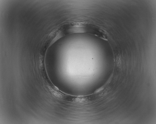 X0000056360570200508291347