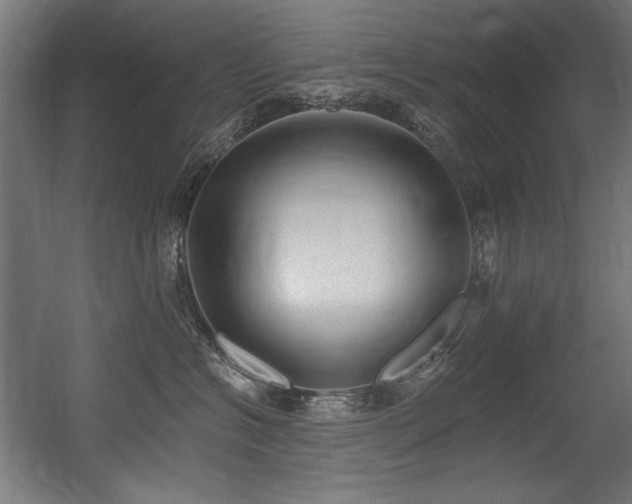 X0000056360574200508291347