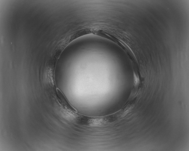 X0000056360575200508291347