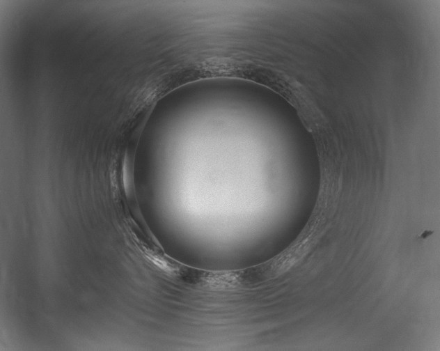 X0000056360576200508291347