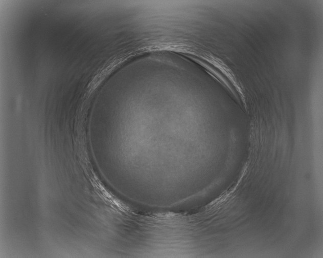 X0000056360577200508291347