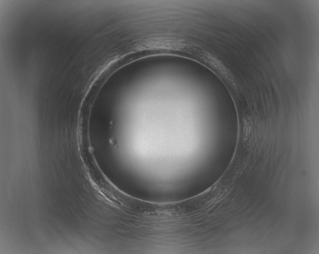 X0000056360580200508291347