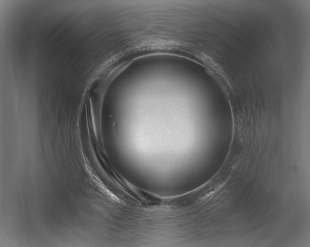 X0000056360581200508291347