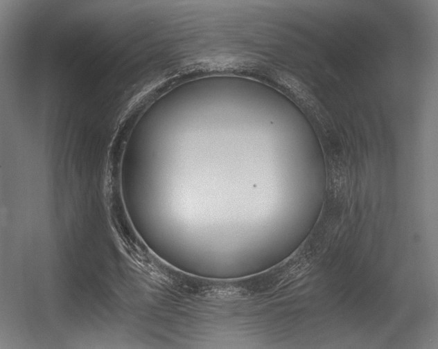 X0000056360583200508291346