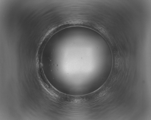 X0000056360584200508291346