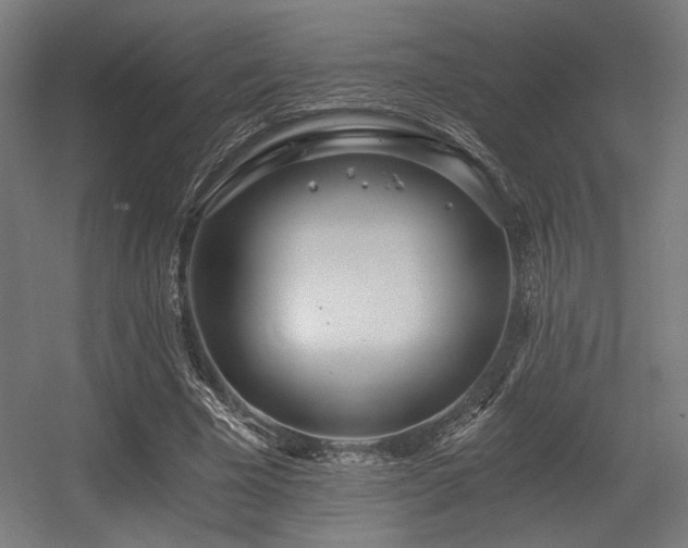 X0000056360585200508291346