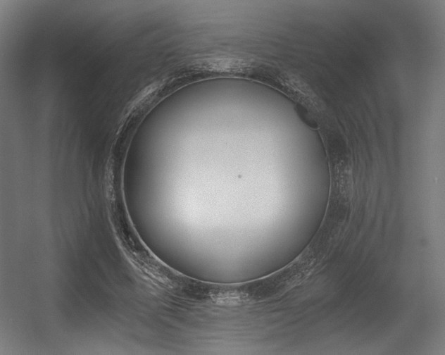 X0000056360587200508291346