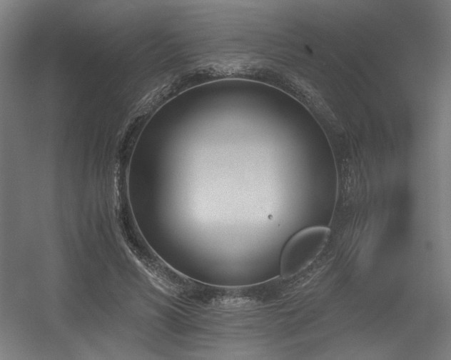 X0000056360590200508291346