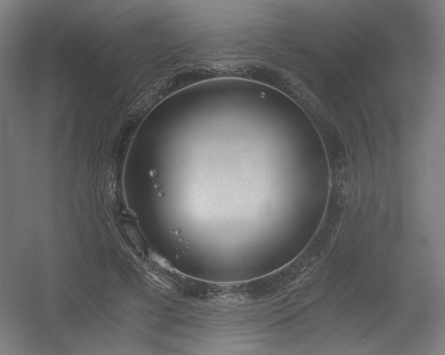 X0000056360593200508291346