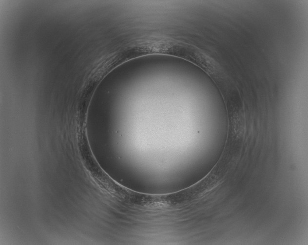 X0000056360594200508291346