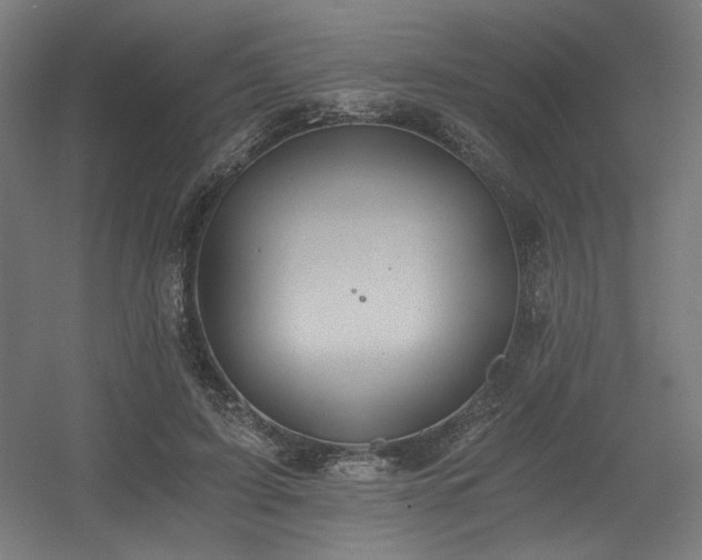 X0000056360595200508291346