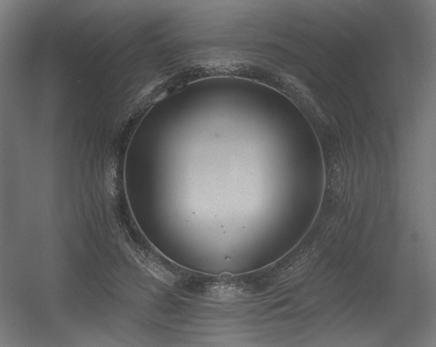 X0000056360596200508291346