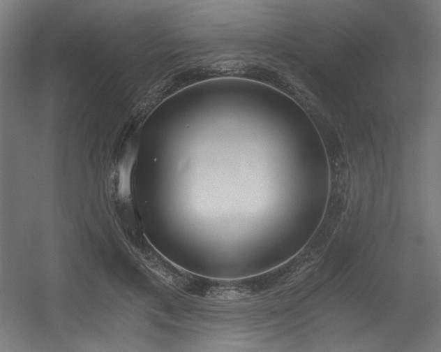 X0000056360597200508291346