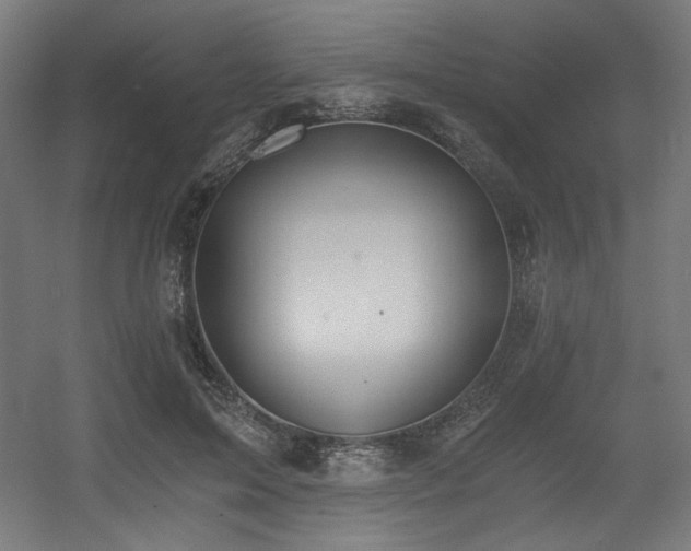 X0000056360599200508291346